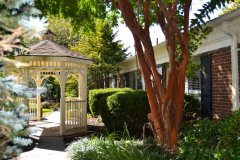 Gazebo & Walking Paths
